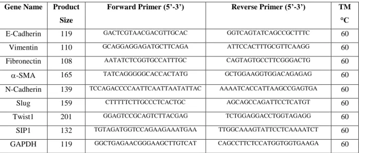 Table 2.1: Primers used in RT-PCR 