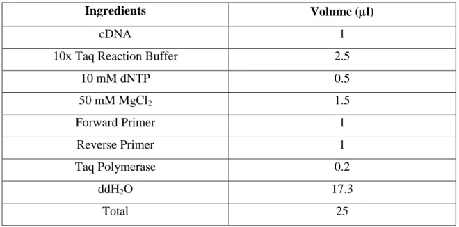 Table 2.3: The steps of the RT-PCR 
