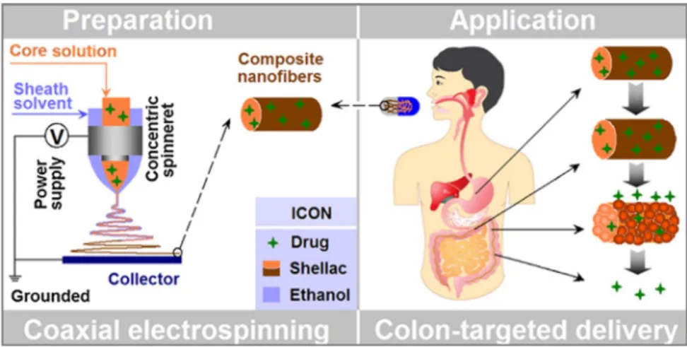 Figure 13.9 A schematic illustrating the strategy underlying the design of the medicated shellac nanofibers prepared in this work.