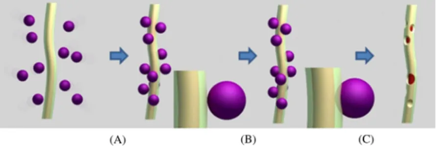 Figure 13.2 Drug release triggered by sonication-induced detachment of clinging