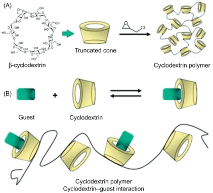 Figure 13.3 (A) Chemical structure of β-CD and a schematic representation of its truncated cone-shape and the reaction with epichlorohydrin to produce a CD-based polymer network and (B) comparison between CD and poly-CD host guest interactions.