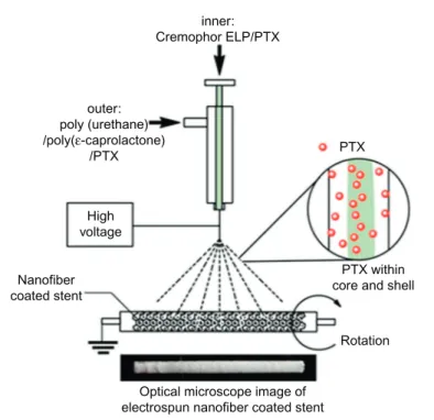 Figure 13.4 Schematic illustration of preparing nanofiber-coated stents for controlled release of PTX