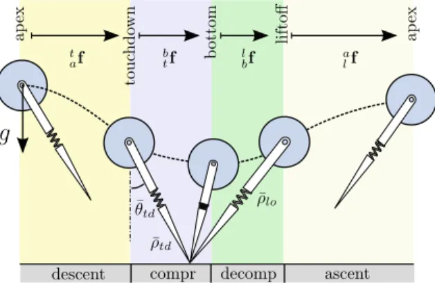 Fig. 2 SLIP locomotion phases and associated return map com- com-ponents