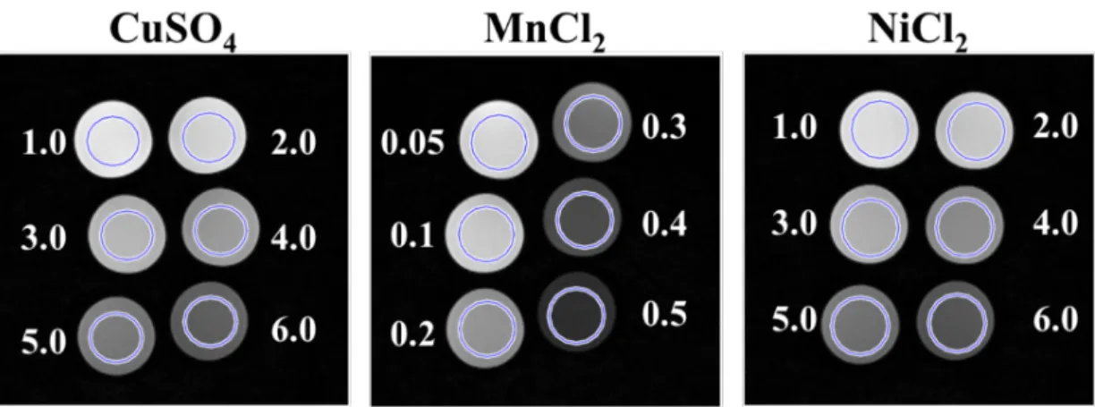 Figure 1. Example inversion recovery (IR) turbo spin echo images (acquired with TI = 100 ms) for all three paramagnetic solutions, showing the selected regions of interest (ROIs)