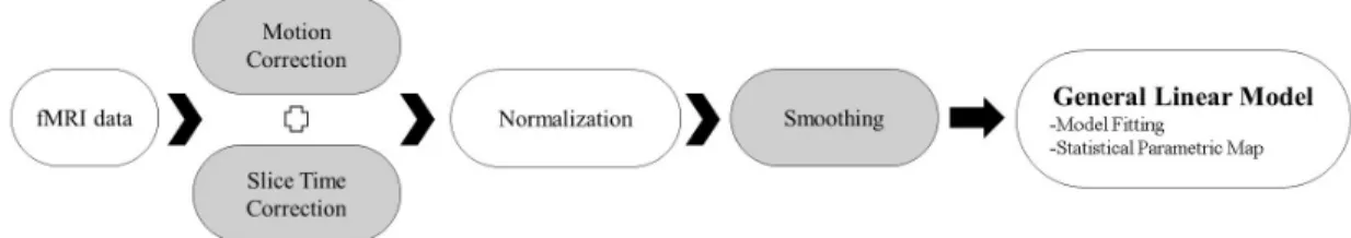 Figure 2.2: The fMRI data processing steps.