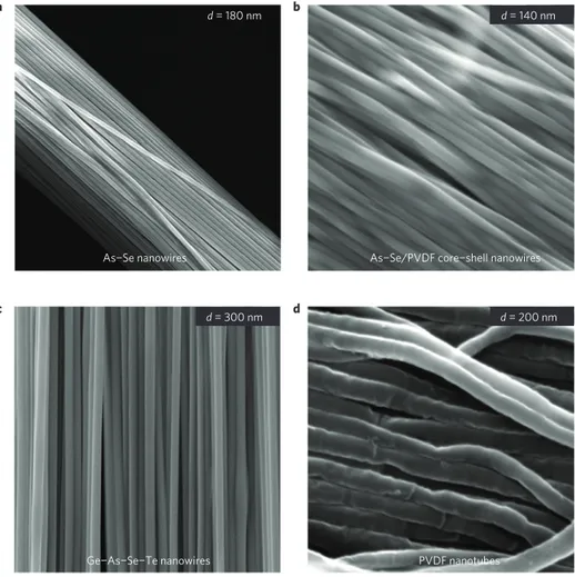 Figure 2 | Globally ordered, multimaterial nanowire, nanotube and cylindrical core–shell arrays