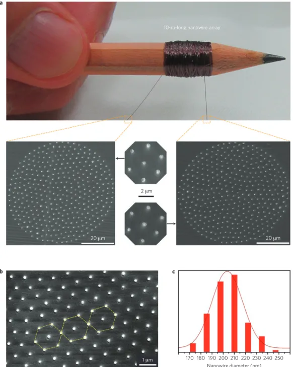 Figure 4 | Radial and axial uniformity of the nanowire arrays. a, A polymer-embedded nanowire array rolled around a pencil truly spans macroscopic and nanoscale worlds