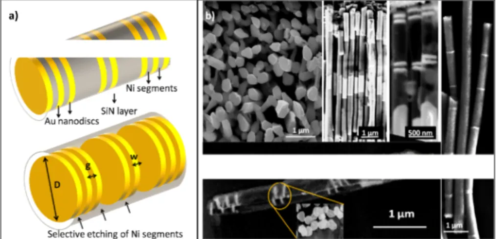 Fig. 1. (a) Illustration of the suspended plasmonic nanodisc array fabrication using in-template synthesis