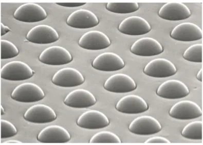Figure 4 Microsphere fluorescence sensor array [40]. 