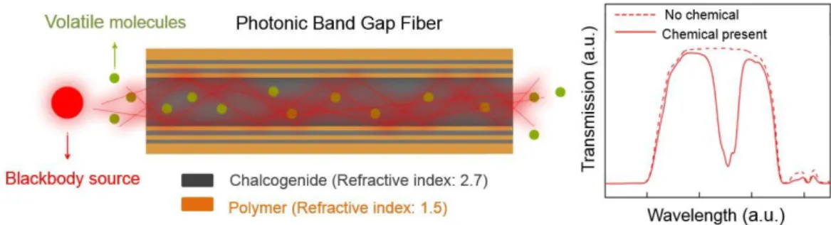Figure 6 Infrared absorption measurement inside the hollow core Bragg fibers. Bragg fibers  guide  electromagnetic  radiation  with  in-built  chalcogenide/polymer  dielectric  mirrors