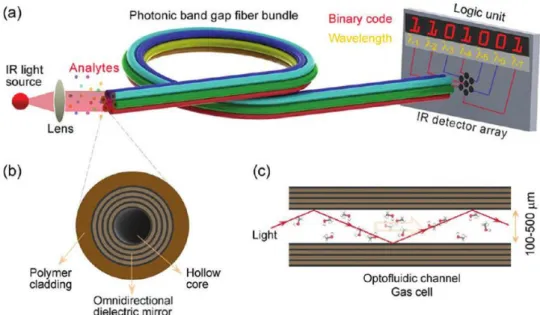 Figure  9  Digital  optoelectronic  nose  scheme.  (a)  An  ordinary  blackbody  source  such  as  a  heated  filament  is  used