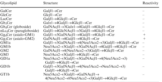 Table 1. Glycolipids used in thin layer chromatography and their reactivity with Moraxella catarrhalis