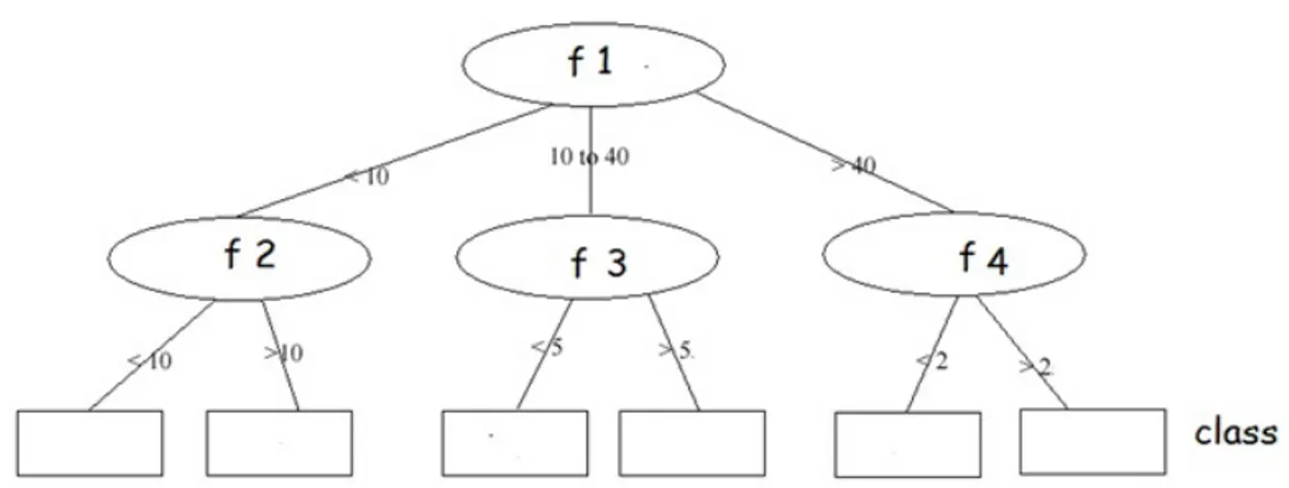Figure 2.3: An example of Decision Tree