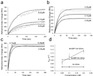Table 1. Adsorption Equilibrium Constants and Binding Free Energies of SA-QDs on Silica Surface, for Three  Diﬀer-ent ExperimDiﬀer-ental Sets