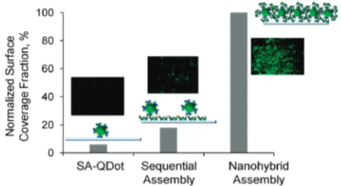 Figure 3. QCM-D real-time monitoring of the binding of SA-QDs for (a) the control set, (b) the sequential assembly set, and (c) the hybrid nanoassembly set on silica surface.