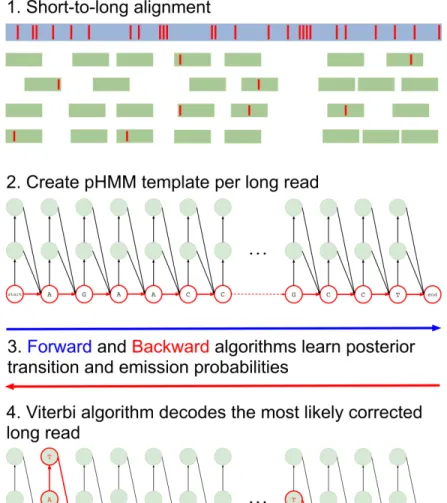 Figure 3.1: Overview of the Hercules algorithm. At the first step (1), short reads are aligned to long reads using an external tool