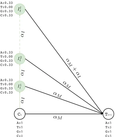 Figure 3.3: Insertion states for position t. Here we show two match states (C t and T t+1 ) and l insertion states (I t 1 