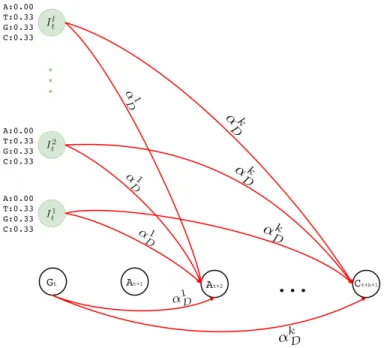 Figure 3.4: Deletion transitions (red) in Hercules pHMM. Insertion states of position t have the same deletion transitions with the match state of the same position, t
