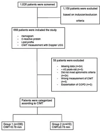 FIGURE 1  Flowchart of patient enrollment 
