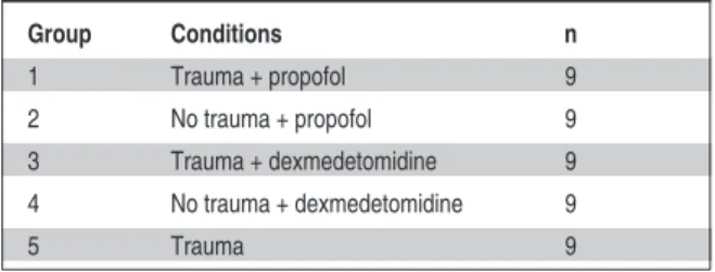 TABLE 1:  Experimental setup and the animal groups.