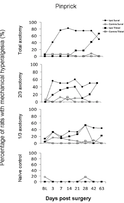 Figure 5. Prevalence of mechanical hyperalgesia to safety pin at all  experi-mental groups and all study sites.