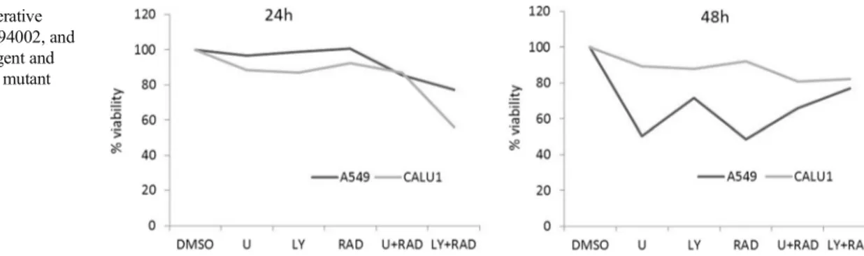 Fig. 2 A549 cells were treated with U0126, LY294002, RAD001, U0126+RAD001, and LY294002+RAD001 for 6 and 24 h