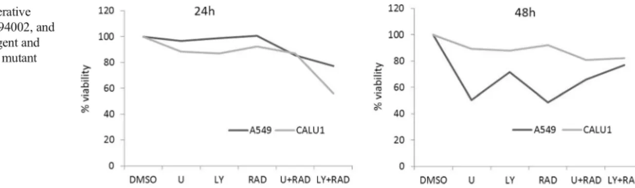 Fig. 2 A549 cells were treated with U0126, LY294002, RAD001, U0126+RAD001, and LY294002+RAD001 for 6 and 24 h