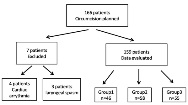 Figure 1 - Flow of participants.