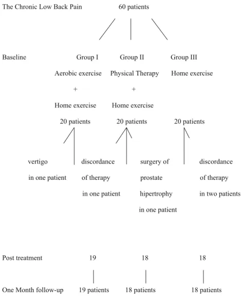 Table 1 The sociodemographical characteristics of the patients Group 1 (n=19) (AE 1 +HE 2 ) Group 2(n=18)(PT3 +HE) Group 3(n=18)(HE) P value Age (year) 37.1±6.5 41.5±8.3 42.1±9.5 0.13 Sex Female (n, %) 15 (78.9) 14 (77.8) 14 (77.8) 0.9 Male (n, %) 4 (21.1)