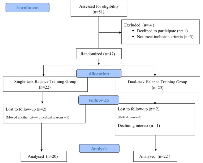 Fig. 1 Flow of participants (allocation and randomization process)
