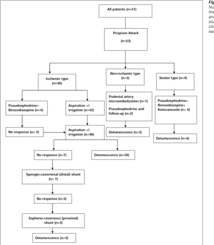 Figure 1.  Number of the patients and the study flow chart in each step.