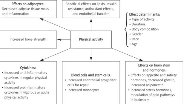 Figure 1. Systemic effects of physical activity and main determinantsPhysical activity