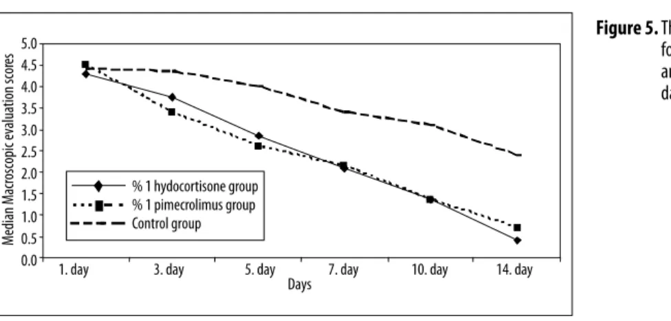 Figure 5.  The mean macroscopic evaluation scores  for the hydrocortisone, pimecrolimus,  and the control groups during the 14 