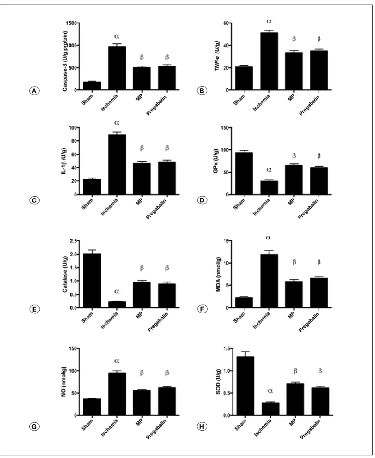 Figure 1A-h: Bar Graphs representing the biochemical pathway results as mean ± SE. Statistical analysis were done as One-Way  ANOVA (Post hoc Tukey comparisons);  (alfa) Sham vs Ischemia (p&lt;0.0001), (ß) Ischemia vs MP (p&lt;0.0001), (ß) Ischemia vs Preg