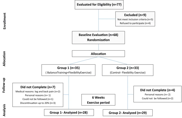 Fig 1 Flow of participants (allocation and randomization process).