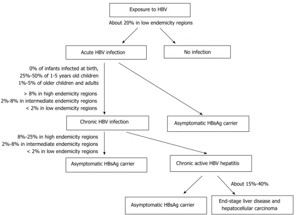 Figure 1  Clinical presentations of hepatitis B virus infections [4,100] . HBV: Hepatitis B virus; HBsAg: Hepatitis B surface antigen.