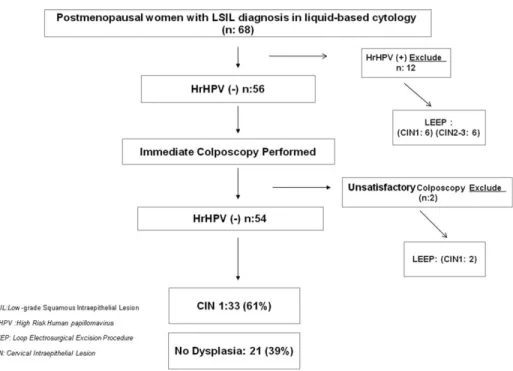 Fig. 1. Study design and categories of patients in current study. Postmenopausal patients with LSIL diagnosis in smear and their HrHPV negative.
