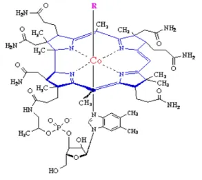Şekil 1. Vitamin B12 Molekül Şekli