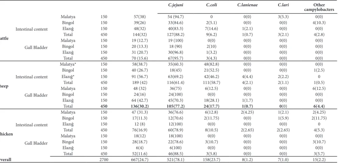 Table II: Identification of Campylobacter spp. isolates obtained from intestinal content and gall bladder of animals by PCR