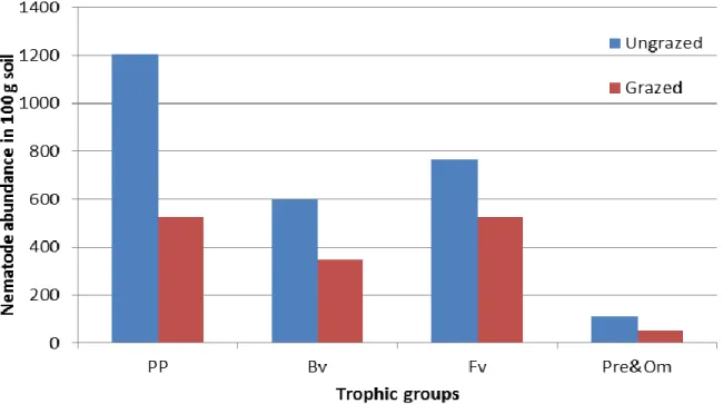 Figure  1.  Abundance  of  trophic  groups  in  both  sites  (PP:  Plant  parasitic,  Bv:  Bacterivores,  Fv:  Fungivores,  Pre&amp;Om: Predators and Omnivores)
