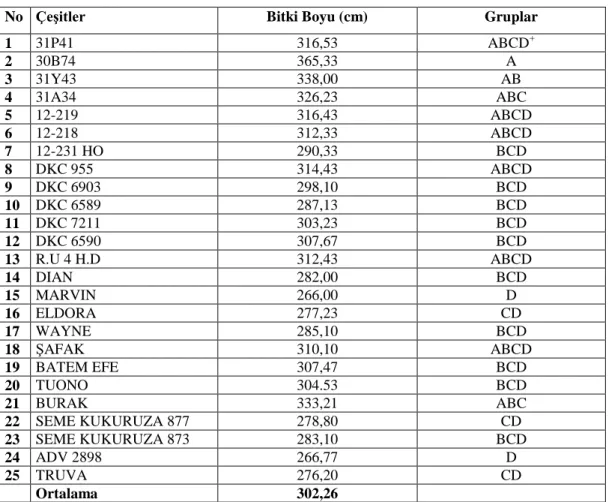 Tablo 4.2. Farklı silajlık mısırlarda saptanan bitki boyu (cm) ortalamaları 