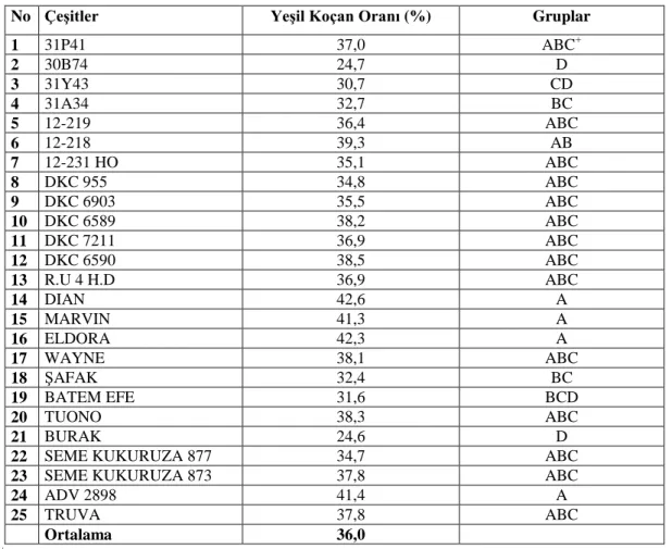 Tablo 4.8. Farklı silajlık mısırlarda saptanan yeşil koçan oranı (%) ortalamaları 