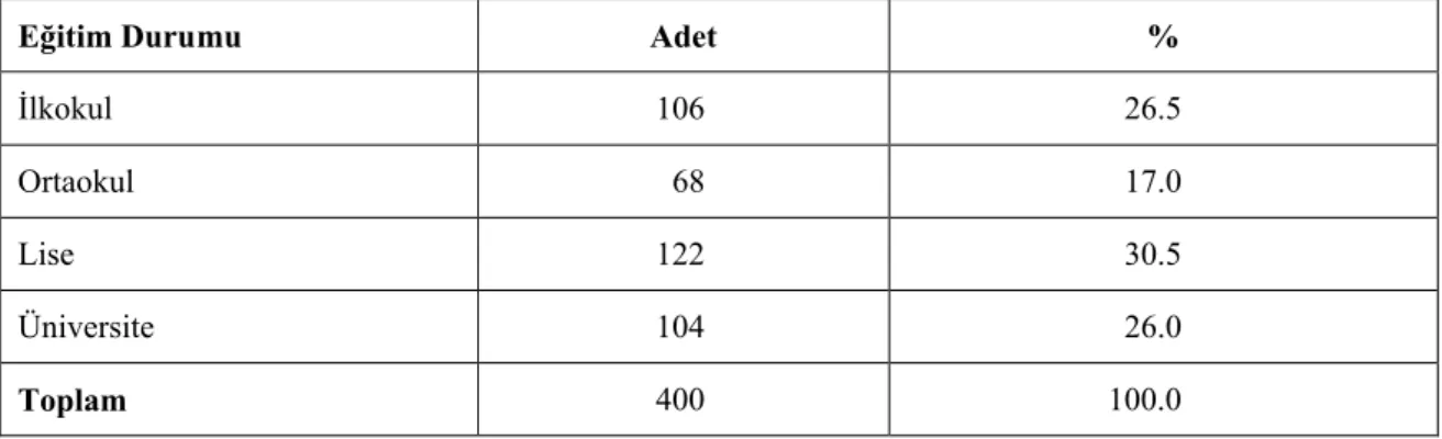 Çizelge 4. Bireyin eğitim düzeyi 