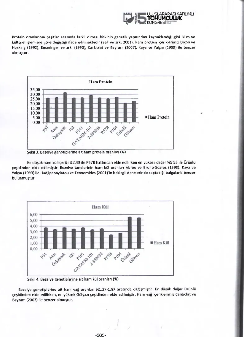Şekil 3. Bezelye genotiplerine ait ham protein oranları (%) 
