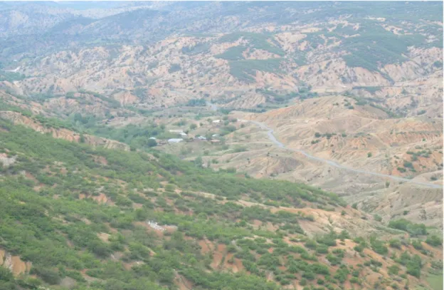 Şekil 4.1. Altıkardeş Dağı’ndan Karcı Köyü’nün görünümü 