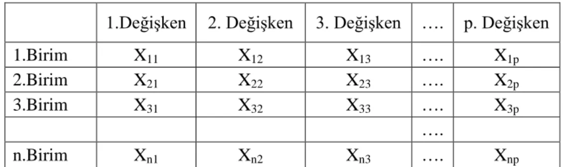 Tablo 3.1. Veri Matrisi 