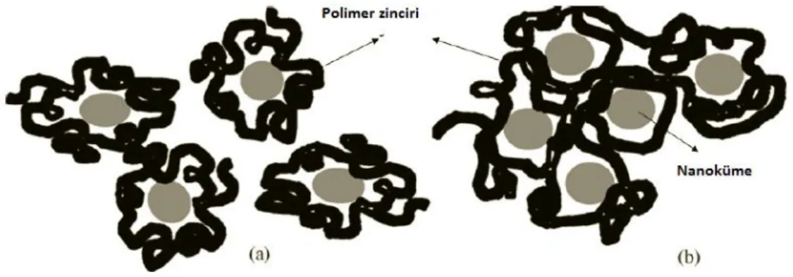 ġekil 1.10. Bir polimer tarafından metal nanopartiküllerin kararlaĢtırılması için iki model öne sürülmüĢtür