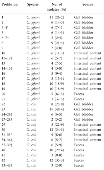 Table 2. RAPD results of C. jejuni and C. coli isolates obtained from various specimens from sheep