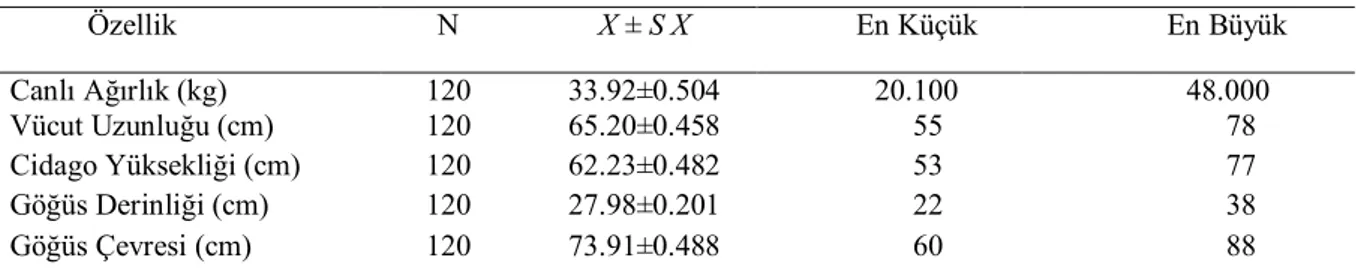 Çizelge  1.  Siirt  Tiftik  keçilerinde  canlı  ağırlık  ve  vücut  ölçülerine  ilişkin  tanımlayıcı  istatistikler 
