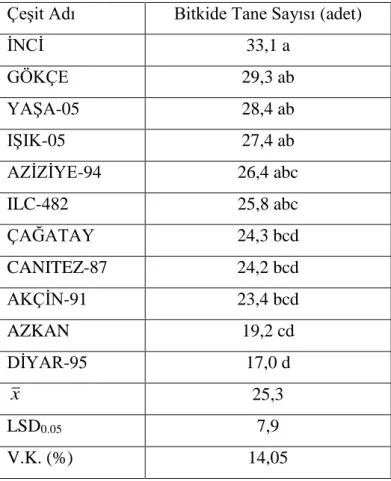 Tablo 4.6. Denemede yer alan çeşitlerin bitkide tane sayısı (adet) 